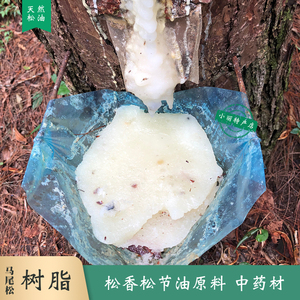 松脂中药