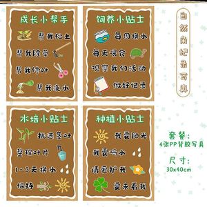 布好玩幼儿园养殖角饲养水培种植区植物角观察记录栏观察记录本