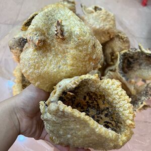 广东阳江盐爆刺龟皮无刺爆好的刺龟皮海胆皮刺豚皮海刺猬干货煲汤