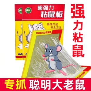 老鼠贴强力粘鼠板正品家用强力胶粘大老鼠一窝端引诱捕鼠灭鼠神器