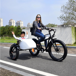 0超宽大轮胎山地车外挂边斗电动边三轮侉子