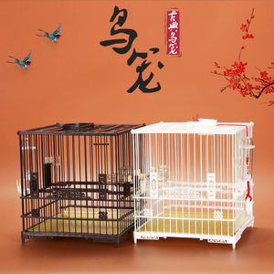 塑钢绣眼鸟笼塑料笼洗澡笼观赏鸟笼鸟用洗澡用具鸟笼配件颠颏鸟笼