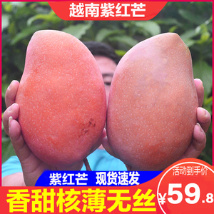 现货越南紫红芒果当季热带新鲜水果特大果8斤香甜无丝核薄