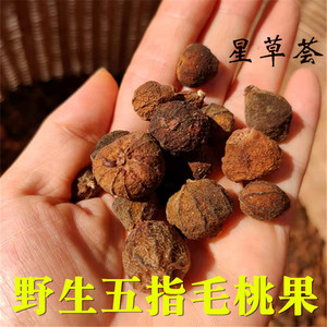 【五指毛桃果】五指毛桃果品牌,价格 - 阿里巴巴