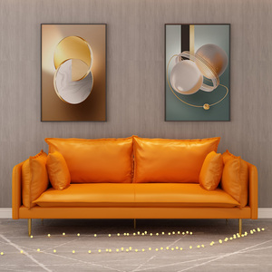 爱马仕橙色沙发轻奢皮客厅小单身公寓小户型直排桔色橘黄橘色家具