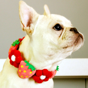 宠物狗狗猫咪项圈饰品泰迪比熊柴犬柯基金毛脖圈配饰装饰颈圈脖套