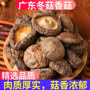 特级香菇干货500g广东农家新鲜野生椴木菌菇蘑菇花菇小冬菇新货