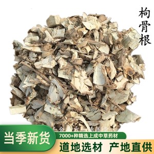 枸骨树根的药用价值图片