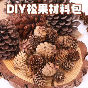 松果天然干枯树枝松塔手工创意diy幼儿园母亲节环境布置装饰挂饰