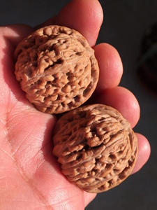 文玩核桃四座楼小精品狮子头