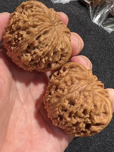 一瓣清心-45精品大凹底南疆石狮子头涿鹿老树南疆石文玩核桃0109