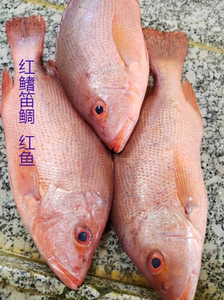 000人付款淘宝湛江红鱼干3斤整条 红鳍笛鲷红槽鱼咸鱼干淡晒海鱼干