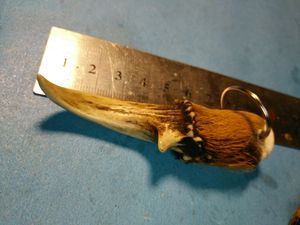 麂子角挂件