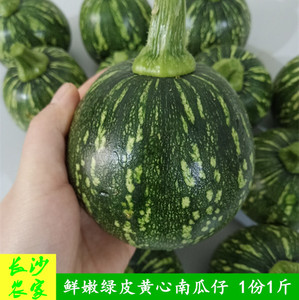 长沙农家 湖南特产新鲜蔬菜绿皮迷你嫩南瓜仔青南瓜小南瓜500g