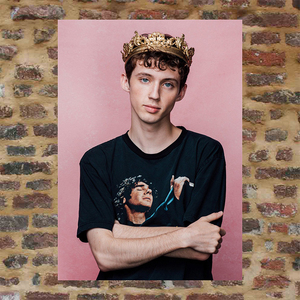 troye sivan海报d140/戳爷海报 troyesivan 海报 特洛耶希文 墙贴