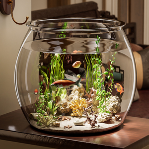 圆形鱼缸家用客厅透明金鱼饲养缸迷你放桌面小型造景乌龟缸生态缸