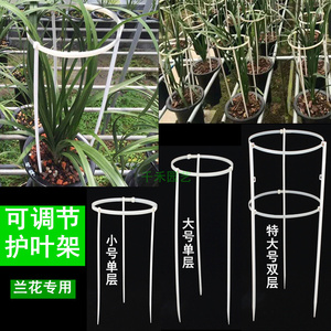 兰花专用塑料护叶架植物蕙兰叶子支撑架扶叶架兰花架可调节护兰架