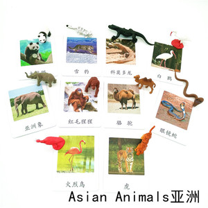 七大洲仿真动物模型 三段卡亚洲动物蒙氏幼儿园教具小精品儿童玩