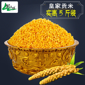野三坡黄小米新米5斤农家自产山西脂米小米粥小黄米五谷杂粮