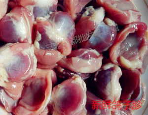 【重庆鸽子】重庆鸽子品牌,价格 - 阿里巴巴