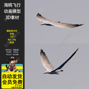 3D卡通海鸥小鸟飞行飞翔c4d模型动画3d设计素材obj源文件fbx贴图