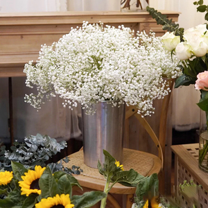 鲜花满天星鲜切花染色各色白色橙色粉色蓝色吸水满天星石头花day