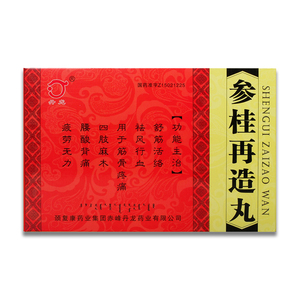 丹龙 参桂再造丸 7g*10丸/盒 腰酸背痛舒筋活络wy