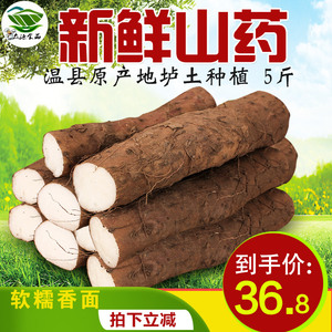温县铁棍山药5斤河南焦作新鲜正宗垆土淮山铁杆棒山荮怀山约特产