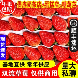 现货鲜草莓10盒装新鲜烘焙酸草莓双流蛋糕奶茶商用顺丰包邮上海发