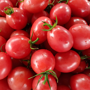 海南陵水千禧圣女果农家自种孕妇新鲜小番茄水果超甜 顺丰包邮