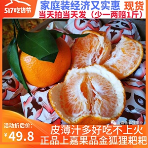 金狐狸春见耙耙丑橘丑柑不知火 上嘉果业5斤家庭装江浙沪皖包邮