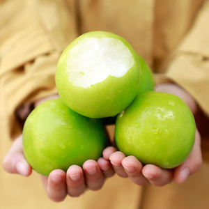 青枣黄瓜绿福建牛奶枣5斤水果新鲜当季奶油枣子贵妃脆枣冬枣整箱