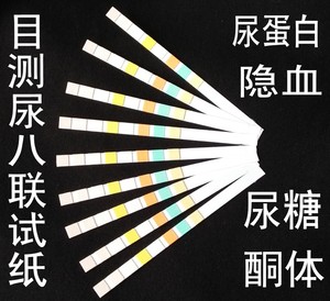 尿八联检测试纸目测尿八项试纸条酮体 尿蛋白试纸 隐血