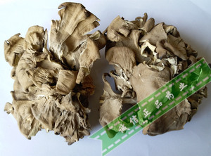 中药材 灰树花干货 舞茸 野生灰树菇 500克