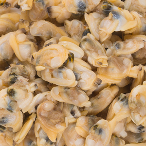 海鲜水产野生现剥大个花甲肉新鲜花蛤肉去壳无沙急冻锁鲜500g