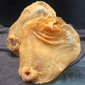 尚膳楼 鸭脷胶500g野生黑鳘鱼胶100g深海野生花胶湛江赤嘴型