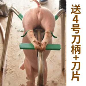 阉割架小猪腌猪器阉猪敲猪去势架阉割刀工具手术设备仔猪用掩猪架