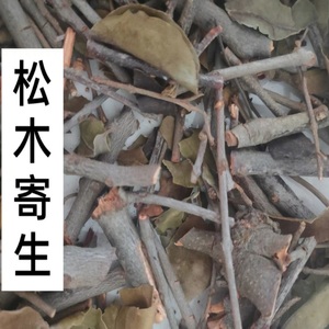 同款货源惠惠中药淘宝松树寄生茶 别名松亮变松木寄生广西中药材
