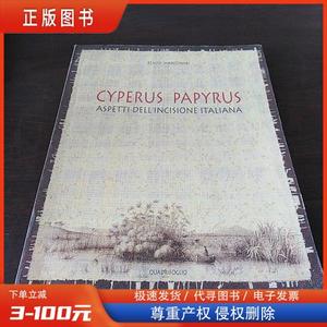 Cyperus papyrus :aspetti dell’incisione italiana（意大利 雕