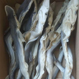 【鲨鱼肉野生】鲨鱼肉野生品牌,价格 - 阿里巴巴