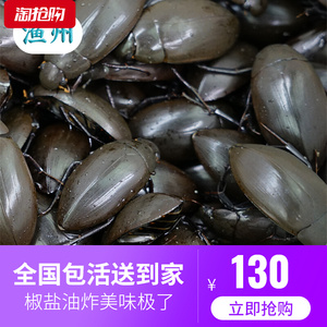 水鳖虫多少钱一斤图片