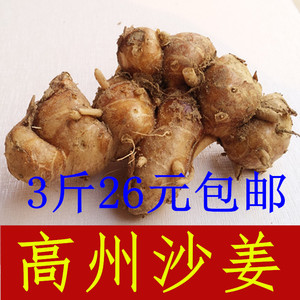 鲜沙姜