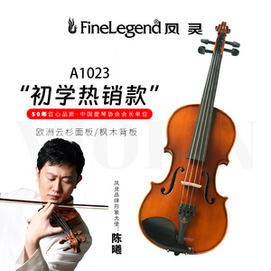 凤灵进口实木小提琴初学者手工专业级儿童成人考级演奏乐器A1023