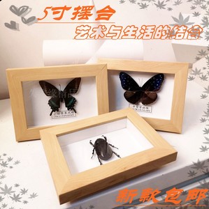 新品包邮真蝴蝶昆虫标本相框纯手工现代工艺简约画框创意生日礼