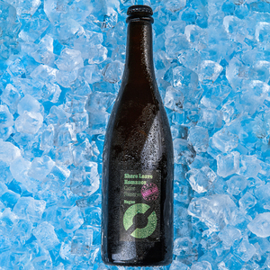 n03gne 01 shore leave挪威裸岛 悠游假期 原装进口精酿啤酒750ml