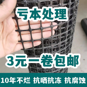 塑料网隔离网漏粪网护栏网工程网养殖网鸡鸭网土工格栅网圈玉米网