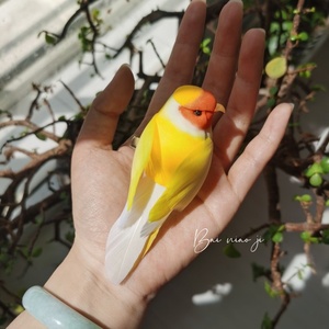 百鸟集原创手作 仿真q版桃面牡丹鹦鹉 嫩黄小啾可爱胸针发夹头饰