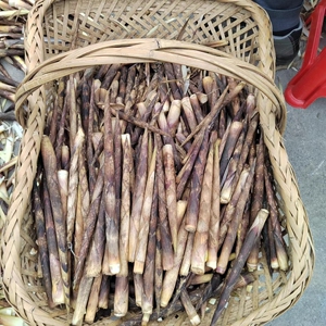 贵州野生新鲜竹笋带壳小竹笋细刺竹笋八月笋嫩笋尖现摘现发  包邮