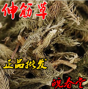 伸筋草 舒筋草 店有远志 益智仁 三宝茶 中药材正品 500克包邮