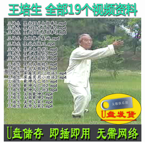 王培生全集19个视频 U盘老资料 吴式太极拳系列吴氏刀剑
